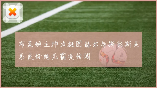 布莱顿主帅力挺图赫尔与斯彭斯关系良好绝无霸凌传闻