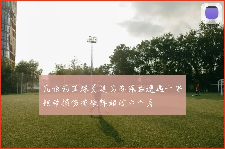 瓦伦西亚球员迭戈洛佩兹遭遇十字韧带损伤将缺阵超过六个月